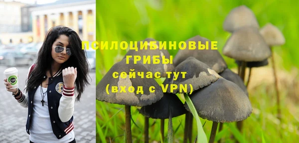 стафф Алзамай