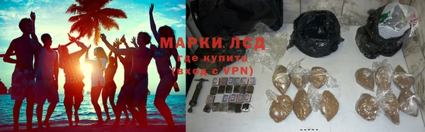 стафф Алзамай