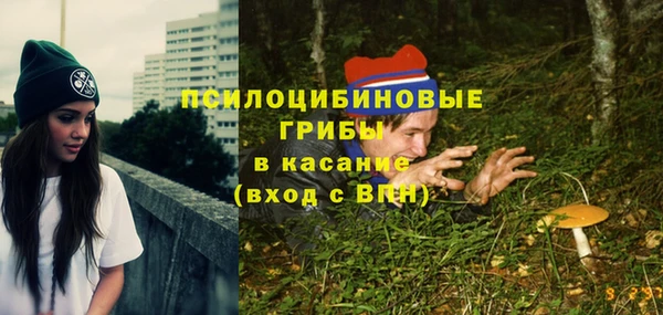 Альфа ПВП Абаза