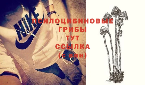 мет Абинск