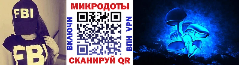 даркнет сайт  Нефтекамск  Галлюциногенные грибы мухоморы 